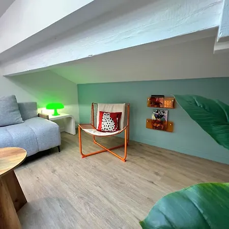 Apartament Le St Martin-parking-airbus-airport-4 People *